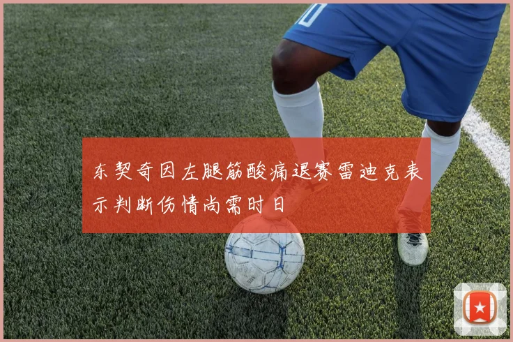 东契奇因左腿筋酸痛退赛雷迪克表示判断伤情尚需时日