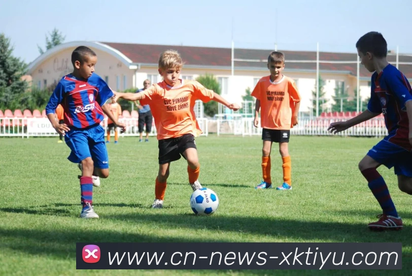 星空体育平台生态图