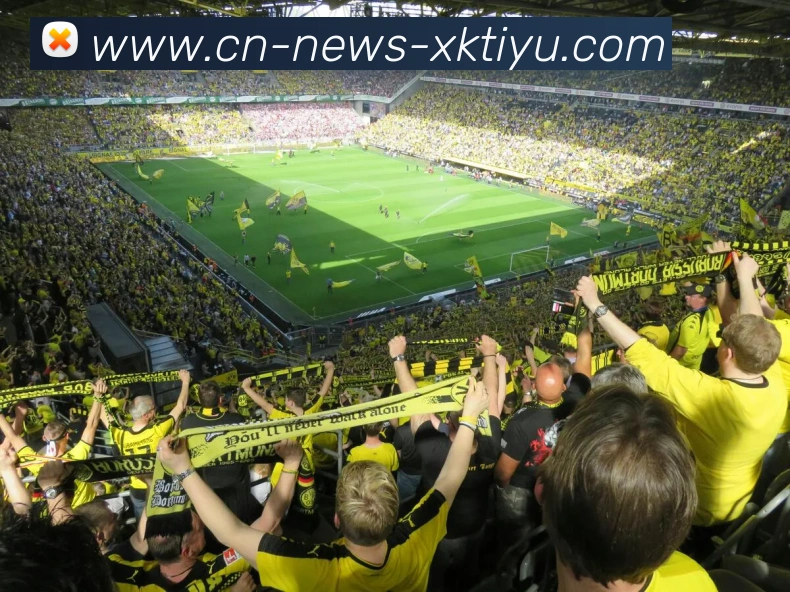 星空体育APP 封面图